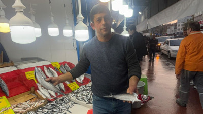 Balıkesirli Balıkçıdan Üzücü Haber: “Trol avcılığı durdurulmazsa denizlerde balık kalmayacak.”