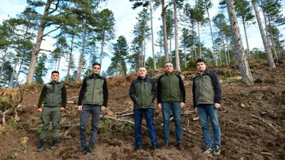 Balıkesir'de Karaçamlar Yenileniyor