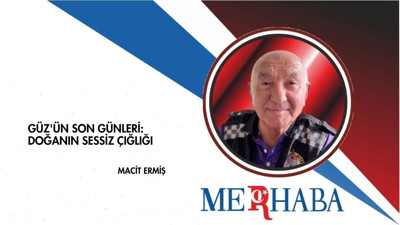 Güz'ün Son Günleri: Doğanın Sessiz Çığlığı