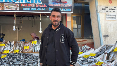 Balıkesir'de 2025 Kasım Ayında Balık Bolluğu