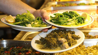 Balıkesir’in Şifalı Otları: Tere, Ebegümeci ve Gelincik