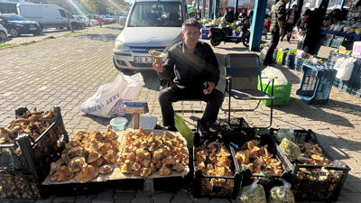 Balıkesir’de2025 Yılının Sonuna Doğru Melki Bolluğu: