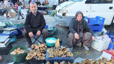Yağışlar Bereket Getirdi: Fiyat Düştü, Halk Mantara Doydu