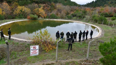 Kirazköy Orman Yangın Sahasında İnceleme Gerçekleştirildi
