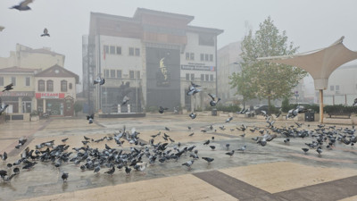 Balıkesir ve İlçelerinde Yoğun Sis Etkili Oluyor