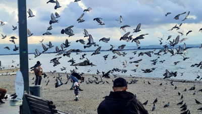 Körfez Sahilleri Emekliler İle Kuşlara Kaldı