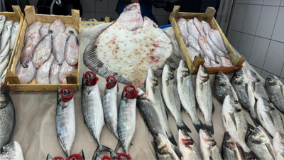 Balıkesir’de 5 Kiloluk Kalkan Balığı Görünümüyle Şaşırtıyor
