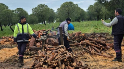 Ayvalık’ta Yeşil Alan Mesaisi