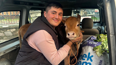 Balıkesir’de 1 Jersey Buzağı Pazarı Salladı