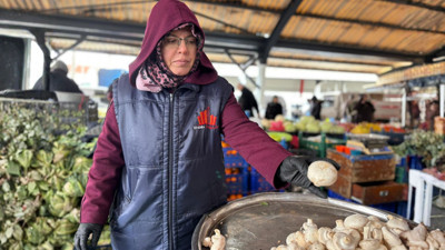 Balıkesir Pazarında Mantar Yoğunluğu