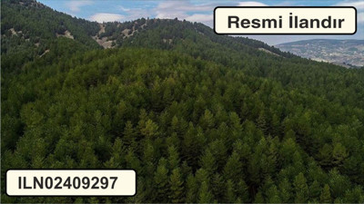 İvrindi Orman İşletme Müdürlüğü Çalışma Kontrolü ve Hizmeti Alacak