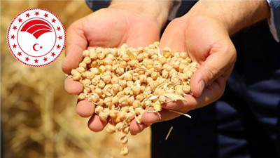 Sındırgı’da Çiftçiye Müjde: Nohut Tohumu Başvurusu İçin Son 2 Gün!