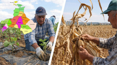Çiftçiye Destek Var, Peki Tarlada Neden Şikâyet Bitmiyor?
