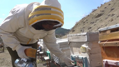 Arıların Peşinde 3 İl 4 Lezzet