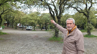 Burhaniye'de Coğrafi Tescilli Meşeler Yeşerdi