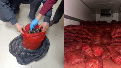 Balıkesir’de 10 Ton Kaçak Midye Ele Geçirildi