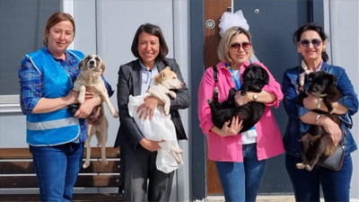 İYİ Parti Balıkesir’den Yeniköy Barınak Ziyareti