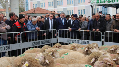 Kepsut Belediyesinde Yüzde Yüz Hibeli 30 Koç