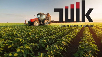 Tarım GFE Şubat 2026’da %31,55 Arttı