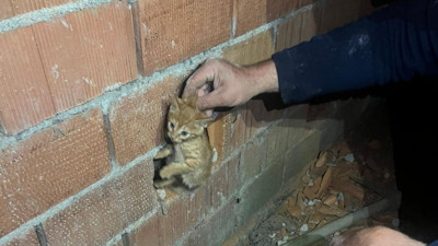 Sındırgı’da Duvar Arasına Sıkışan Kedi Kurtarıldı