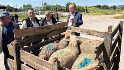 Kepsut’ta Bayram Öncesi Kuzu Hareketliliği