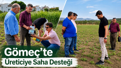 Gömeç’te Tarlalarda Yakın Takip