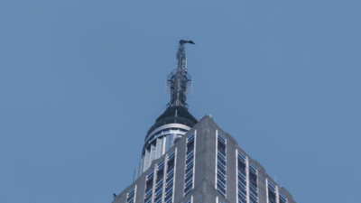 ABD’deki Empire State binasında tehlikeli evlilik teklifi: Rus çift gözaltına alındı