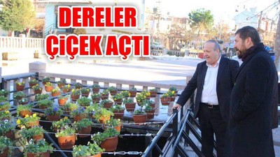 Dereler Çiçek Açtı