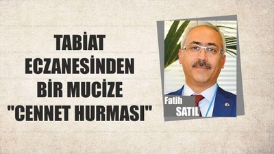 Tabiat Eczanesinden Bir Mucize " Cennet Hurması"
