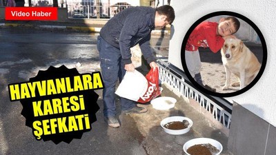 Hayvanlara Karesi Şefkati