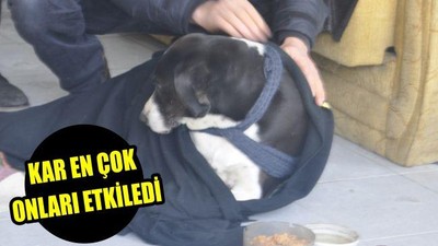 Kar en çok onları etkiledi