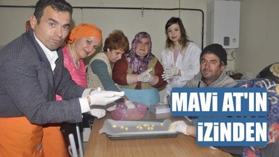 Mavi At'ın izinden