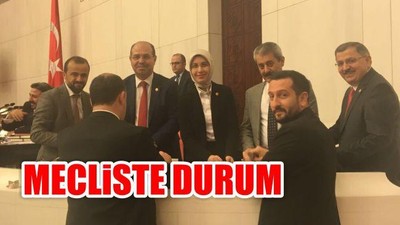 Mecliste Durum