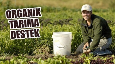 Organik Tarıma Destek
