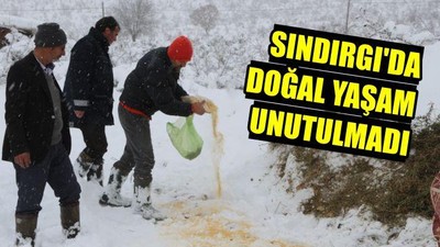 Sındırgı’da Doğal Yaşam Unutulmadı