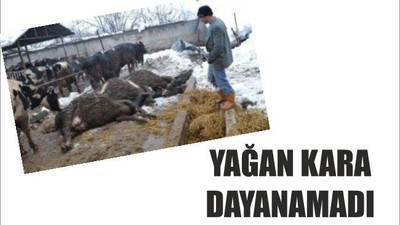 Yağan kara dayanamadı