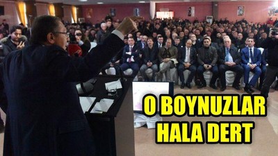 O Boynuzlar Hala Dert