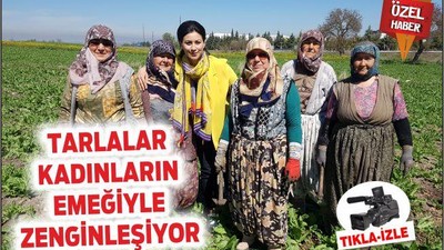 Tarlalar kadınların emeğiyle zenginleşiyor