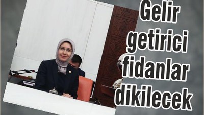 GELİR GETİRİCİ FİDAN DİKİLECEK