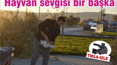 Hayvan sevgisi bir başka