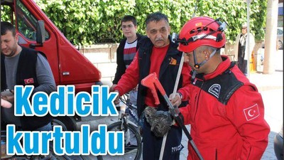 KEDİCİK KURTULDU