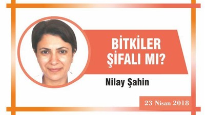 BİTKİLER ŞİFALI MI?