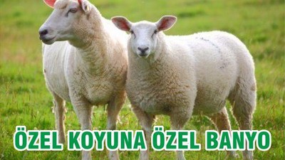 ÖZEL KOYUNA ÖZEL BANYO