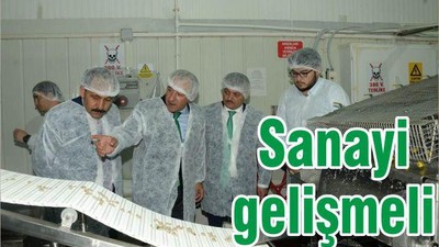 SANAYİ GELİŞMELİ