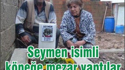 ‘Seymen’ isimli köpeğe mezar yaptılar