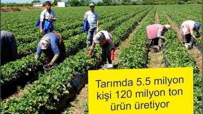 TARIMDA 5,5 MİLYON KİŞİ 120 MİLYON TON ÜRÜN ÜRETİYOR
