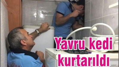 YAVRU KEDİ KURTARILDI