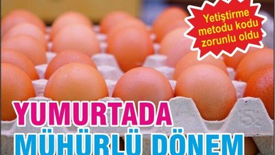 YUMURTA’DA MÜHÜRLÜ DÖNEM