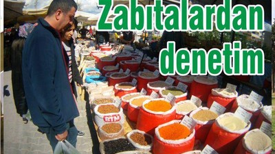 ZABITA DENETİMDE