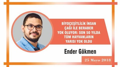 Biyoçeşitlilik insan çağı ile beraber yok oluyor: Son 50 yılda tüm hayvanların yarısı yok oldu